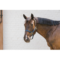 Cabezada de Nylon Breakaway Kentucky Preto Cabezada de Nylon Breakaway Kentucky Preto