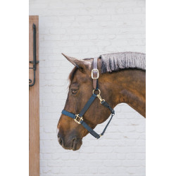 Cabezada de Nylon Breakaway Kentucky Marinho Azul-marinho