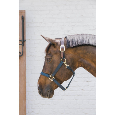 Cabezada de Nylon Breakaway Kentucky Marinho Azul-marinho Cabezada de Nylon Breakaway Kentucky Marinho Azul-marinho