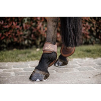Protetor de boleto Deep para cavalos jovens Kentucky Castanho