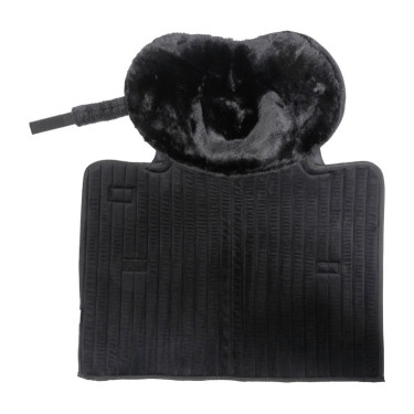 Sub-banda de Estábulo e Transporte com Proteção de Jarrete Kentucky Preto