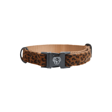 Coleira para cão Leopardo Kentucky Coleira para cão Leopardo Kentucky