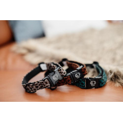 Coleira para cão Leopardo Kentucky Castanho leopardo