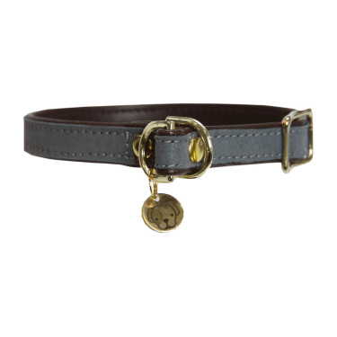 Coleira para cão Loop Kentucky Cinzento