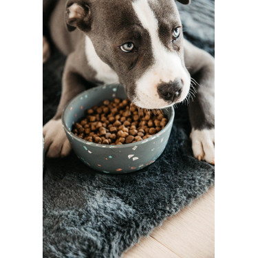 Tigela para cão Bamboo Terrazzo Kentucky Cinzento