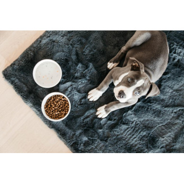 Tigela para cão Bamboo Terrazzo Kentucky Tigela para cão Bamboo Terrazzo Kentucky