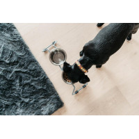 Tigela para cão Confort Kentucky Azul empoeirado