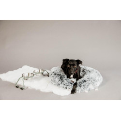 Tigela para cão Confort Kentucky Verde empoado