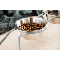 Tigela para cão Confort Kentucky Verde empoado