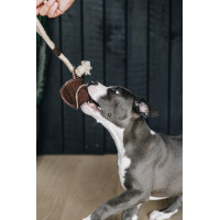 Brinquedo para cão Corda de Algodão Baseball Kentucky Castanho