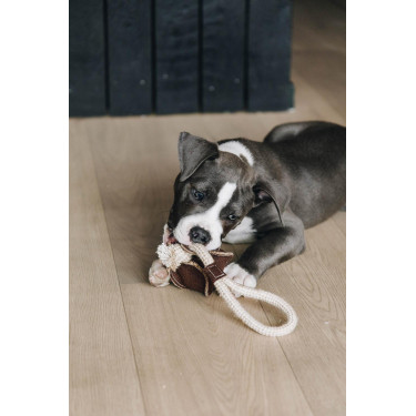 Brinquedo para cão Corda de Algodão Baseball Kentucky Castanho