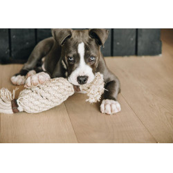 Brinquedo para cão Corda de Algodão Abacaxi Kentucky Brinquedo para cão Corda de Algodão Abacaxi Kentucky