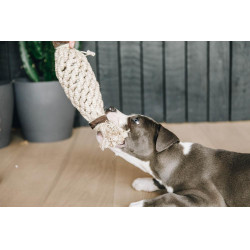 Brinquedo para cão Corda de Algodão Abacaxi Kentucky Brinquedo para cão Corda de Algodão Abacaxi Kentucky