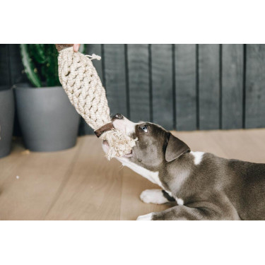 Brinquedo para cão Corda de Algodão Abacaxi Kentucky Brinquedo para cão Corda de Algodão Abacaxi Kentucky