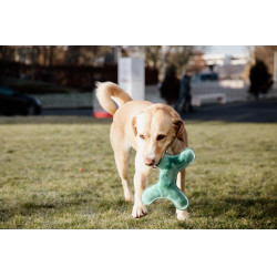 Brinquedo para cão Pastel Bone Kentucky Esmeralda Verde