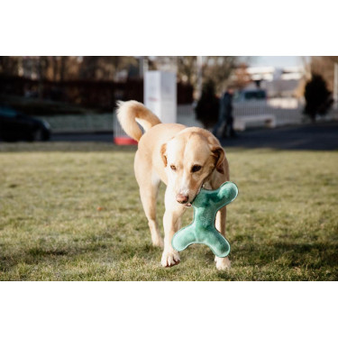 Brinquedo para cão Pastel Bone Kentucky Esmeralda Verde