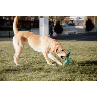 Brinquedo para cão Pastel Bone Kentucky Esmeralda Verde