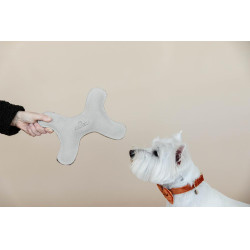 Brinquedo para cão Pastel Bone Kentucky
