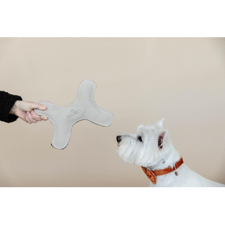 Brinquedo para cão Pastel Bone Kentucky