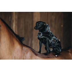Casaco para cão em pelo sintético Kentucky Cinzento Casaco para cão em pelo sintético Kentucky Cinzento