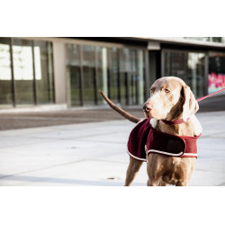 Casaco para cão Heavy Fleece Kentucky Bordéus Bord&amp;ocirc;