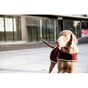 Casaco para cão Heavy Fleece Kentucky Bordéus Bord&amp;ocirc;
