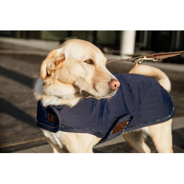 Casaco para cão Pearls Kentucky Marinho Azul-marinho