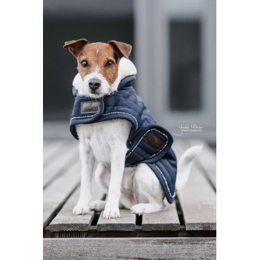 Casaco para cão Pearls Kentucky Marinho Azul-marinho