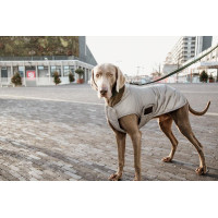Casaco para cão Kentucky refletor e repelente à água com proteção ventral Prata Casaco para cão Kentucky refletor e repelente à água com proteção ventral Prata