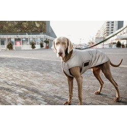 Casaco para cão Kentucky refletor e repelente à água com proteção ventral Prata Casaco para cão Kentucky refletor e repelente à água com proteção ventral Prata