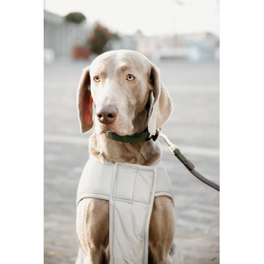 Casaco para cão Kentucky refletor e repelente à água com proteção ventral Casaco para cão Kentucky refletor e repelente à água com proteção ventral