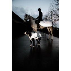 Casaco para cão Kentucky refletor e repelente à água com proteção ventral Prata Casaco para cão Kentucky refletor e repelente à água com proteção ventral Prata