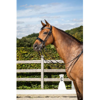 Bridão Dy'on Muserolle Large Vernie coleção dressage couro redondo Preto Bridão Dy'on Muserolle Large Vernie coleção dressage couro redondo Preto