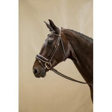 Bridão Working by Dy'on Muserola Combinada Larga Envernizada Forro Branco Castanho