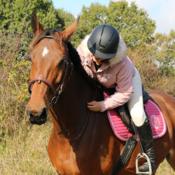 Almofada de sela Rider Harcour Karembar Blush Rosa Almofada de sela Rider Harcour Karembar Blush Rosa