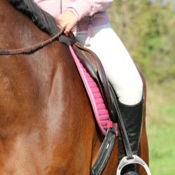 Almofada de sela Rider Harcour Karembar Blush Rosa Almofada de sela Rider Harcour Karembar Blush Rosa