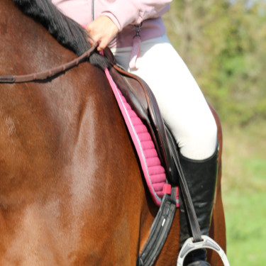 Almofada de sela Rider Harcour Karembar Blush Rosa Almofada de sela Rider Harcour Karembar Blush Rosa