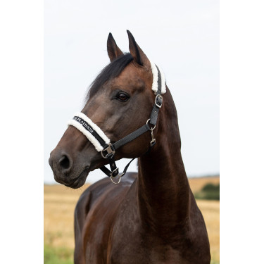 Cabresto Howard Crescendo Horze Cabresto Howard Crescendo Horze