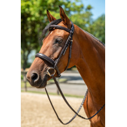 Bridon Hunter 2 HKM Castanho escuro