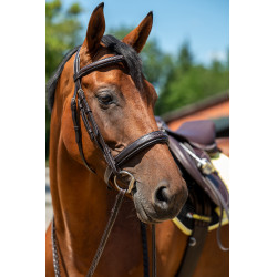 Bridon Hunter 2 HKM Castanho escuro