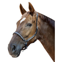 Caveção de couro Diamond HKM Preto