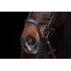 Bridão Anatômico Sports HKM Preto