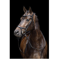 Bridão Anatômico Sports HKM Castanho