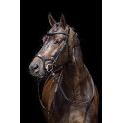 Bridão Anatômico Sports HKM Preto