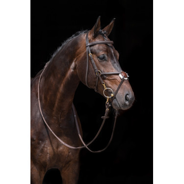 Bridão Estilo Mexicano reforçado, carneiro HKM Castanho
