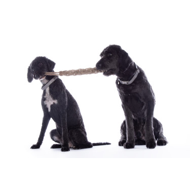 Brinquedo para cão Buddy Knot Bone HKM Brinquedo para cão Buddy Knot Bone HKM