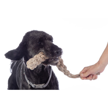 Brinquedo para cão Buddy Knot Bone HKM Brinquedo para cão Buddy Knot Bone HKM