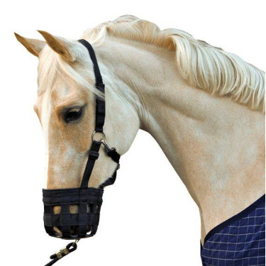 Cabresto com focinheira HKM Preto