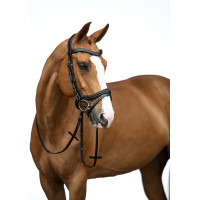 Bridão Anatômico HKM Castanho