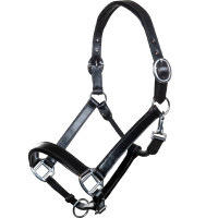 Lederen halster Economic HKM Preto